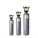 CO2 Flaschenhalter aus Edelstahl inkl. Kette für 2-10 KG Flaschen - Osmoseanlage-kaufen.de