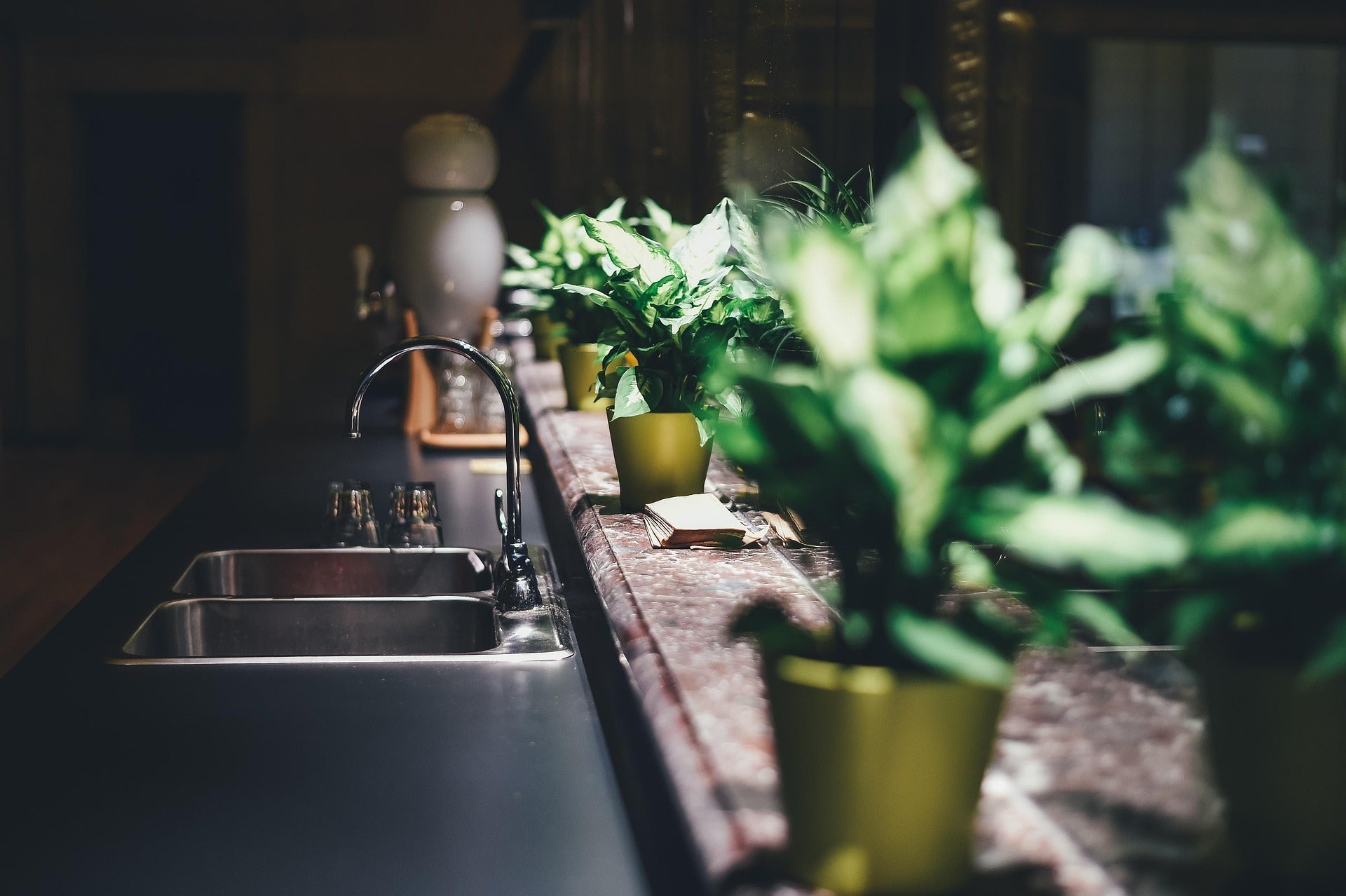 Wasserfilter im Vergleich: Welcher passt zu Ihrem Wasser?