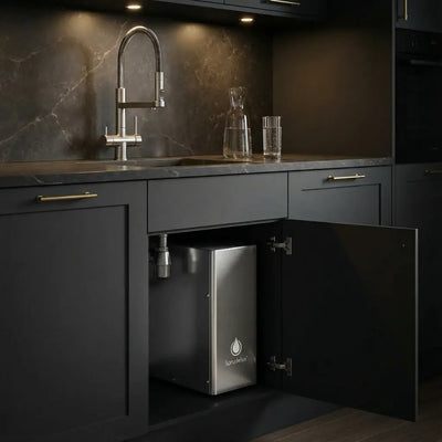 SPRUDELUX® INOX SILENT - Premium Sprudelanlage | hoher CO2 Gehalt | geräuscharm | Edelstah - Osmoseanlage-kaufen.de